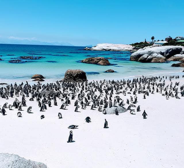 Cape Peninsula