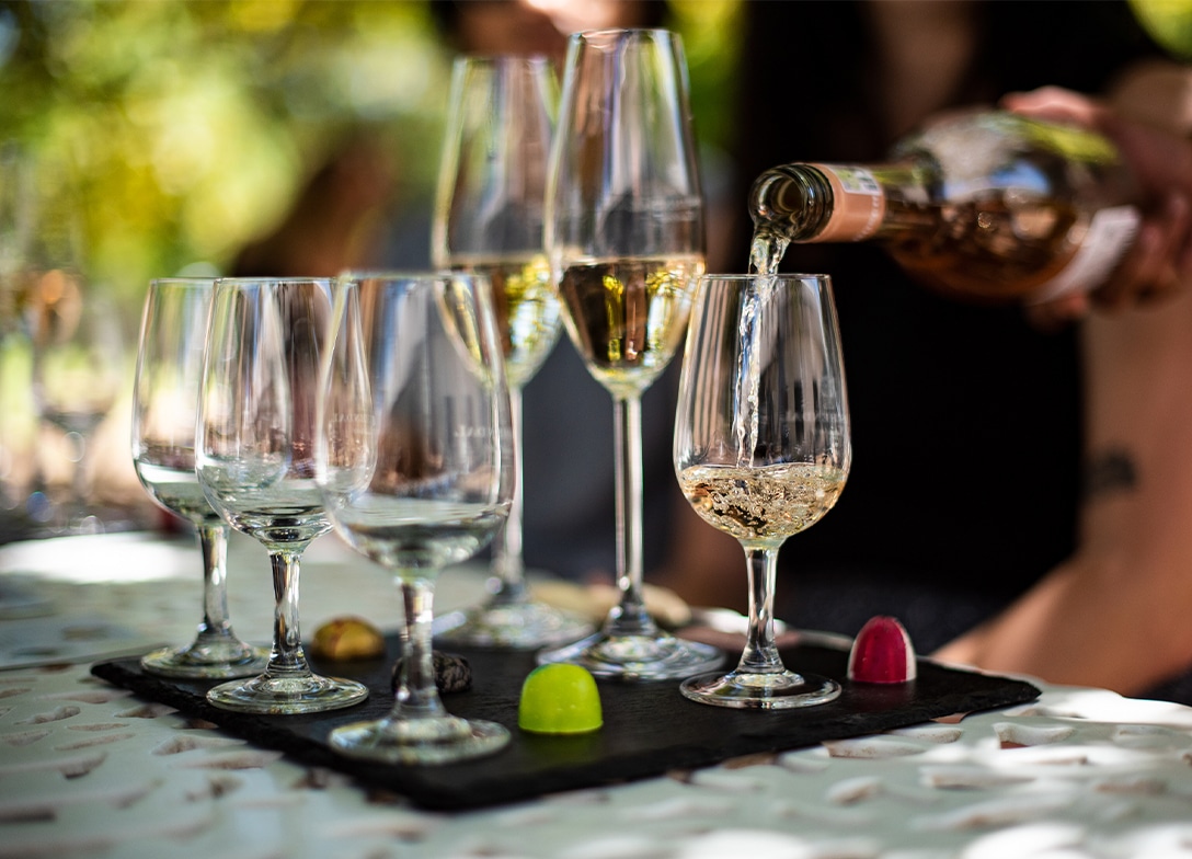 Kirstenbosh Gardens Wine Tasting